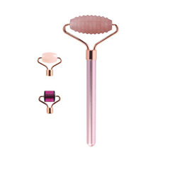Ionic Face Revitalizer Kit
