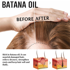 Batana Root Revival Set